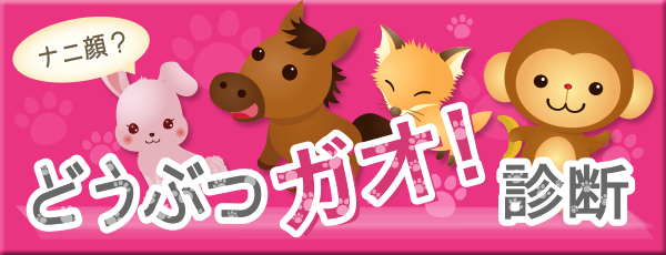 どうぶつ顔診断